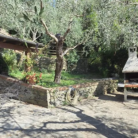 La Tigula